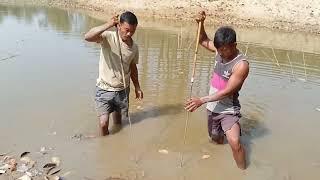 Amazing Traditional Eel Fishing ! Village boys eel fishing ! Best Eel Fishing video ! Mr Drubo