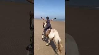 beach riding (and falling) #horse #horses #horseriding #equestrian #pony #horsefan #horsegirl