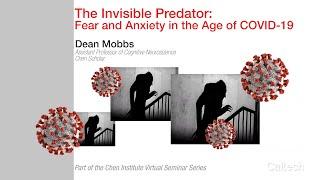 The Invisible Predator: Fear and Anxiety in the Age of COVID-19