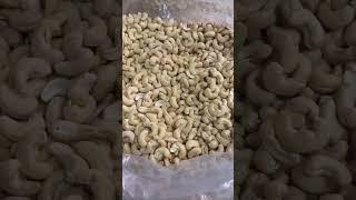 WW180 Cashew nuts- Directly at HAVIGO'S factory #cashew #cashewnut #vietnam #export #importexport