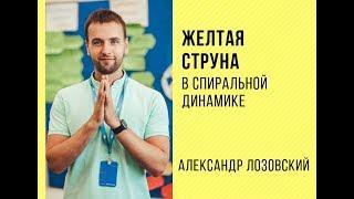 Желтая струна в спиральной динамике