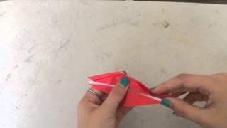 Alexias Video Tutorial paper Origami