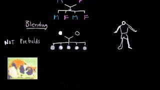 Forsdyke Evolution Academy 01-25 Blending and Non-Blending