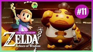 The Legend of Zelda Echoes of Wisdom Part 11 | Gameplay Walkthrough COMPLETE Playthrough | Full Game