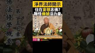 住在妄想念佛？難怪佛號沒力量！ | 妄想 | 增長業 | 念佛 | 淨界法師