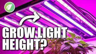 Grow Light Placement Guide: Achieving Maximum Plant Growth with the Right Hanging Height