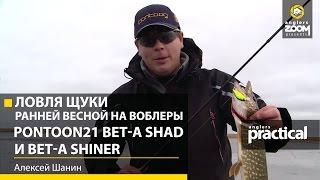 Ловля щуки ранней весной на воблеры Pontoon21 Bet-A Shad и Bet-A Shiner. А Шанин. Anglers Practical