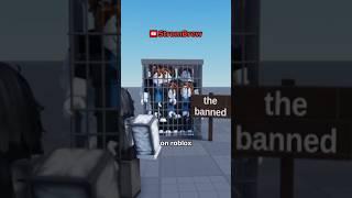 what if every roblox player got ADMIN?