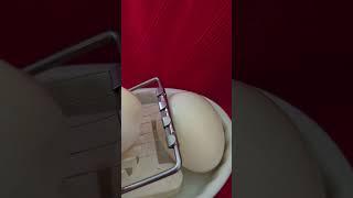 Slicing a boiled egg while recording holding the phone. #egg