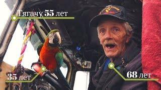 Old trucker and a parrot on a 1962 Kenworth truck