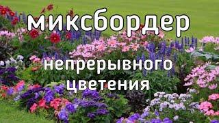 Миксбордер непрерывного цветения / Какие цветы посадить в миксбордер [цветник, клумбу] многолетники