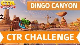 Crash Team Racing Nitro Fueled - Dingo Canyon CTR Challenge Token Locations