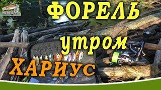 Рыбалка на форель и хариус. Рыбалка в Ленинградской области. АВГУСТ 2019.