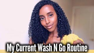 MY CURRENT WASH N GO ROUTINE | Natural Curly Hair | Lydia Tefera