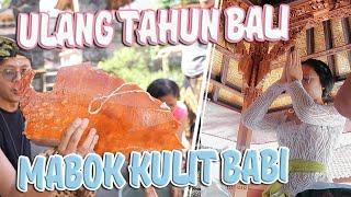 ULANG TAHUN VERSI BALI, MABUK KULIT BABI