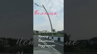 Волчица! #новости #музыка #баженова#шансонгода #сво#Россия#Победа