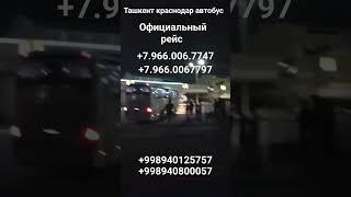 #краснодар#ташкент #автобус официальный рейс без посредников