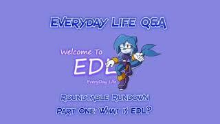 Everyday Life Q&A Roundtable Rundown Part One: What is EDL?