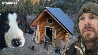 Log Cabin Build on Off-Grid Homestead |EP38| DOG, MOVE-IN, WOODSHED FOUNDATION