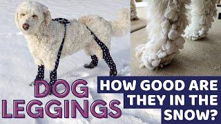 Walkee Paws for Preventing Leg Snowballs on Doodles: A Review