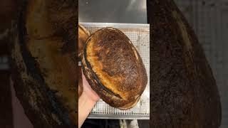 Pov: LAVORI IN UN RISTORANTE A NYC️ vi porto in una mia giornata come line cook al ristorante!