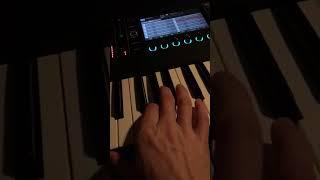 Владимирский Централ cover on Roland Fantom