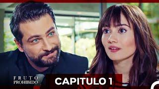 Fruto Prohibido Capitulo 1 (Doblado en Español) (La Versión Larga)