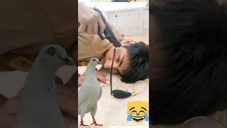 Kabootar chor ko Bagaha diya #viral​ #youtubeshorts​ #shortvideo​ #ytshorts​