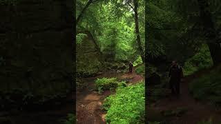 Once you see it, it can never be unseen. #hike #videography #solo