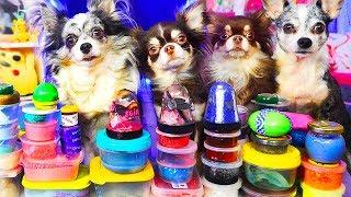 1000 ANTI STRESS SLIMES VS PETS | SLIME CHALLENGE