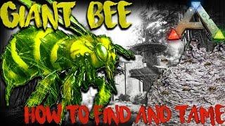 ARK: GIANT BEE! | HOW TO FIND AND TAME SOLO! | UPDATE 257