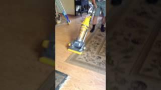 Hannah hates the Vacuum