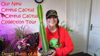 Our NEW Cereus Cactus & a Tour of our Cereus Cactus Collection