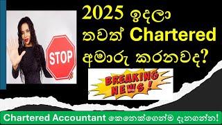 Chartered Accountancy in 2025: Is It Getting Harder?CA Sri Lanka Exam Changes & Challenges Explained