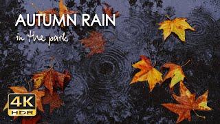 4K HDR Autumn Rain in the Park - 10 h Gentle Rain Sounds - Raindrops Fall on Pavement - Relax/ Sleep