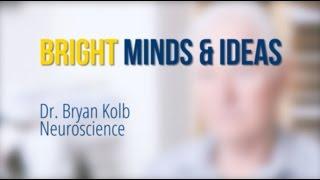 Bright Minds & Ideas - Dr. Bryan Kolb