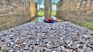 Wow Unique Fishing Style In Dry Season 2022 - Amazing Boy Catfish Underground Hole After