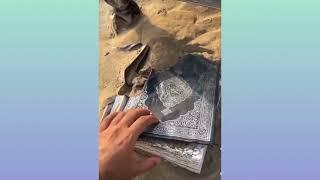 Say tauba plz  |  fairy bawani | the real stories |