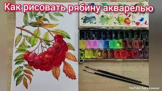 Как рисовать рябину акварелью