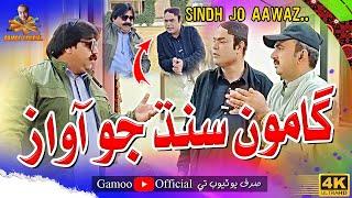 Gamoo Sindh Jo Aaawaz | Asif Pahore (Gamoo) | Kheero Buriro | Sajjad Makhni | New Video | 2025