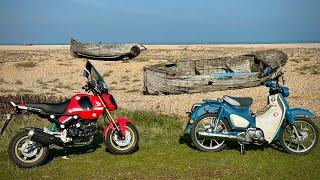 Honda Supercub c125 versus Honda msx Grom