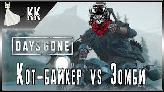 Days Gone ► Кот-байкер vs Зомби #16 [В гости к Ополчению]