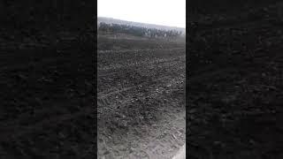 Улок купкари