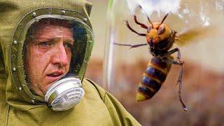 I Faced Murder Hornets in Vietnam