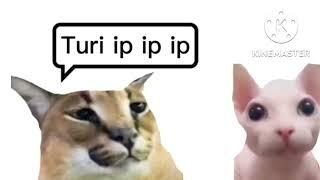 Turip ip ip ip  Vs.  Wenomechainsama I LeanYT