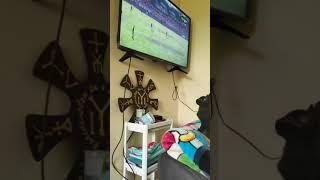 Black cat watching football shorts