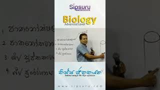 Tissa Jananayake