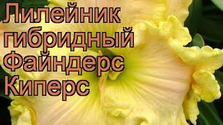 Лилейник гибридный Файндерс Киперс  обзор: как сажать, рассада лилейника Файндерс Киперс