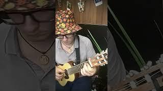 The shadow of your smile Flight ukulele cover