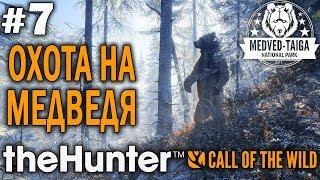 theHunter call of the wild #7  - Охота На Медведя - Винтовка, Револьвер - Кабан, Медведь, Кабарга